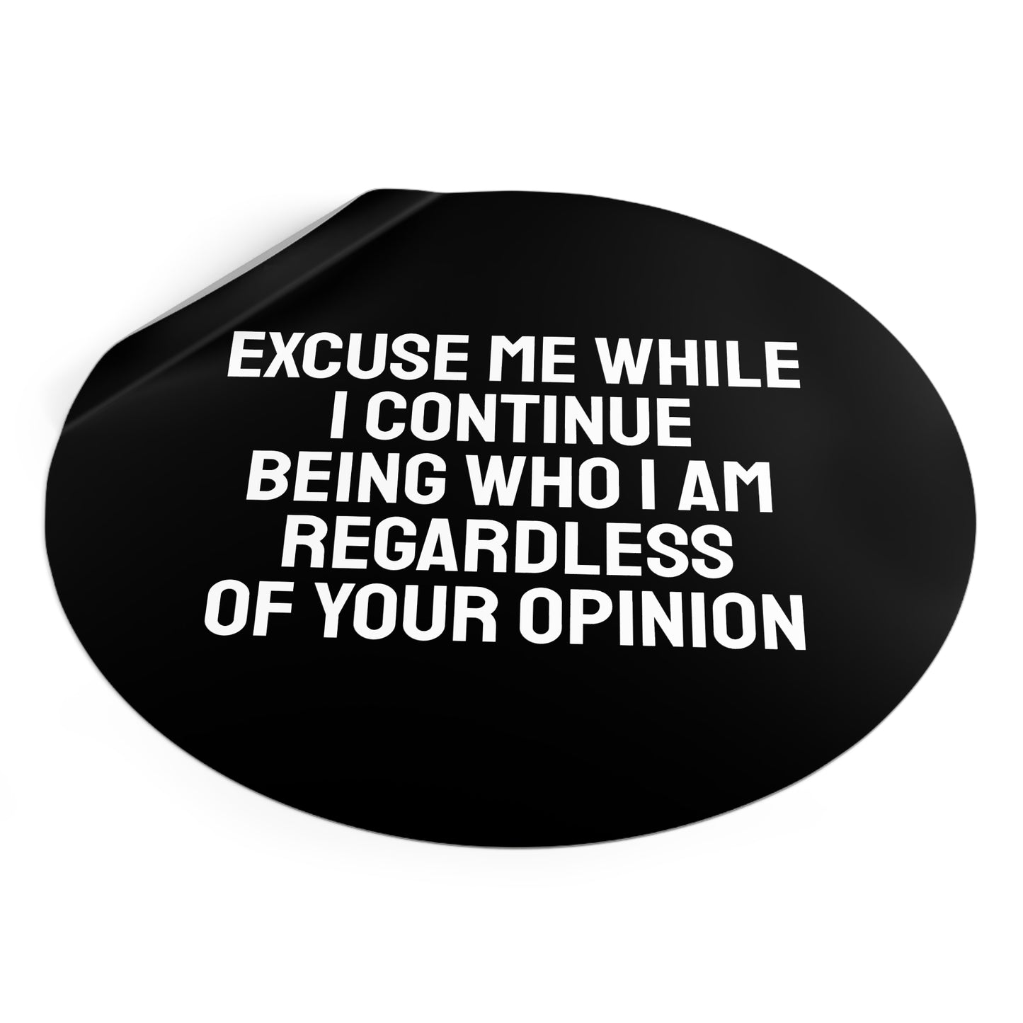 Excuse Me While I Continue Being Who I Am Regardless Of Your Opinion - Round Vinyl Stickers