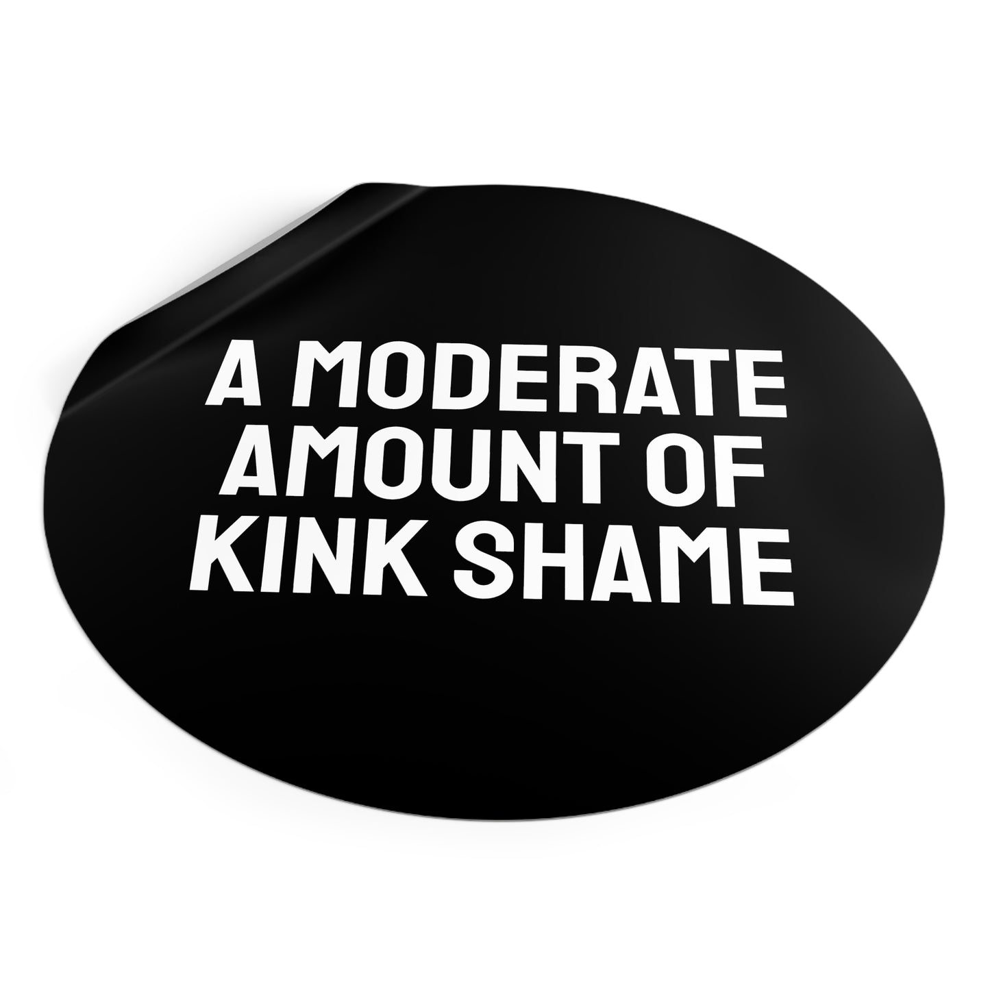 A Moderate Amount Of Kink Shame - Round Vinyl Stickers