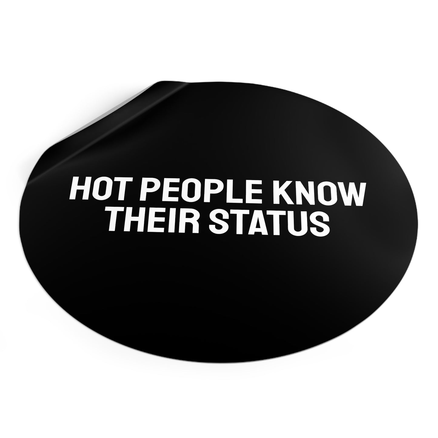 Hot People Know Their Status - Round Vinyl Stickers