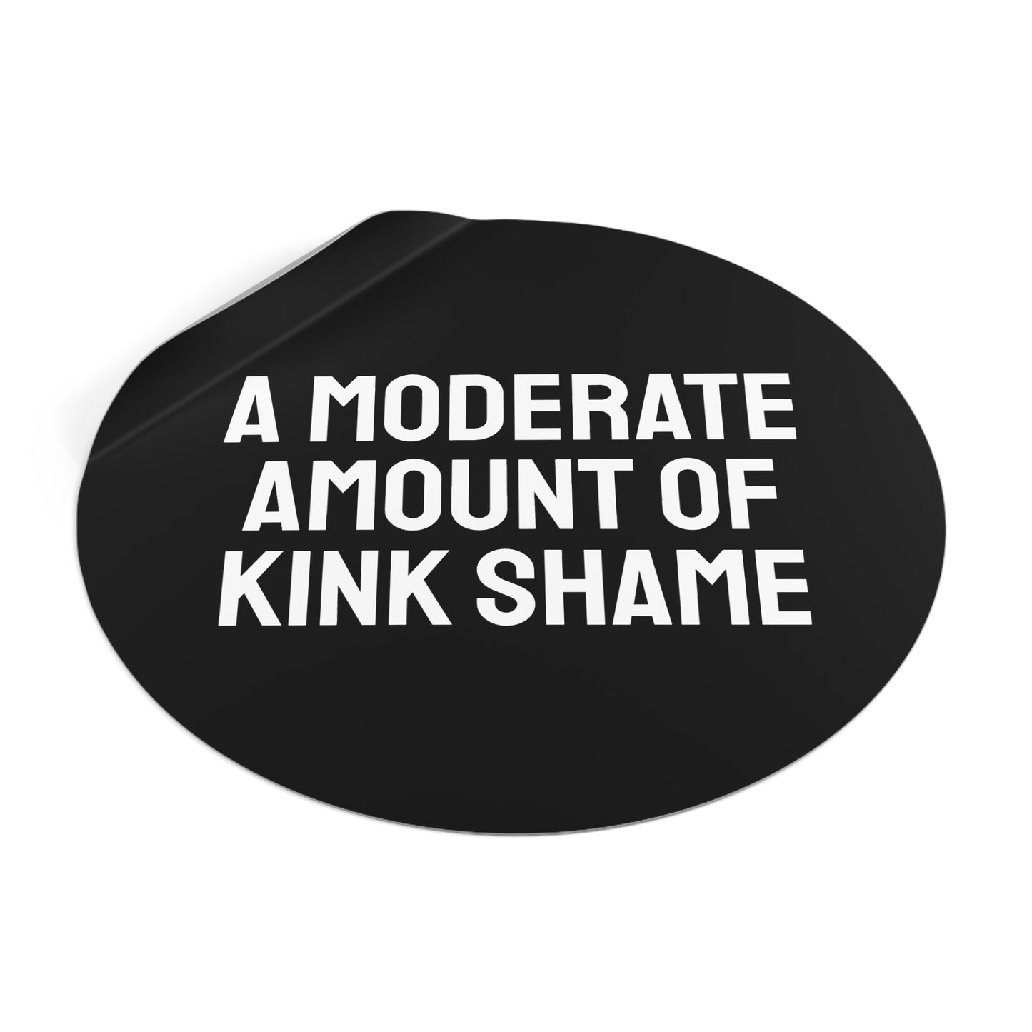 A Moderate Amount Of Kink Shame - Round Vinyl Stickers