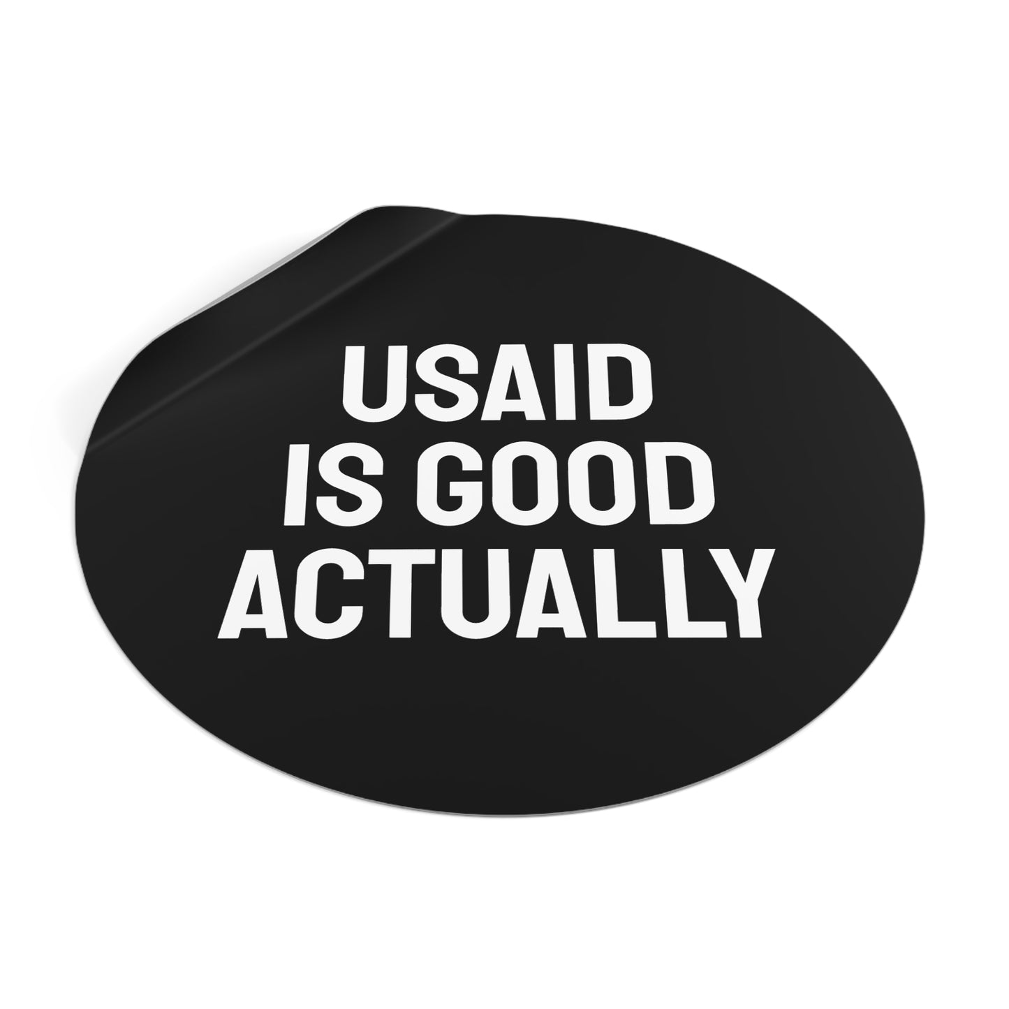 USAID Is Good Actually - Round Vinyl Stickers