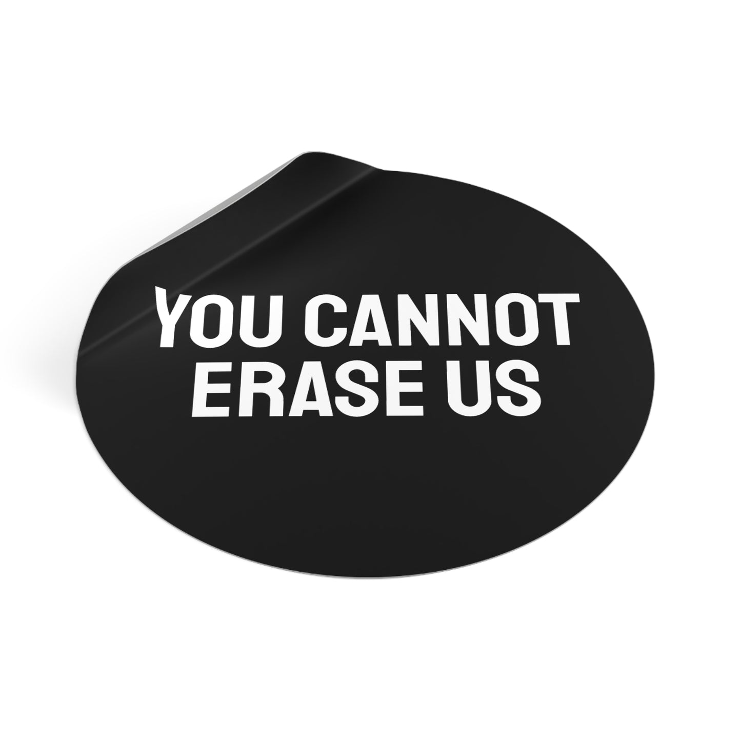You Cannot Erase Us - Round Vinyl Stickers