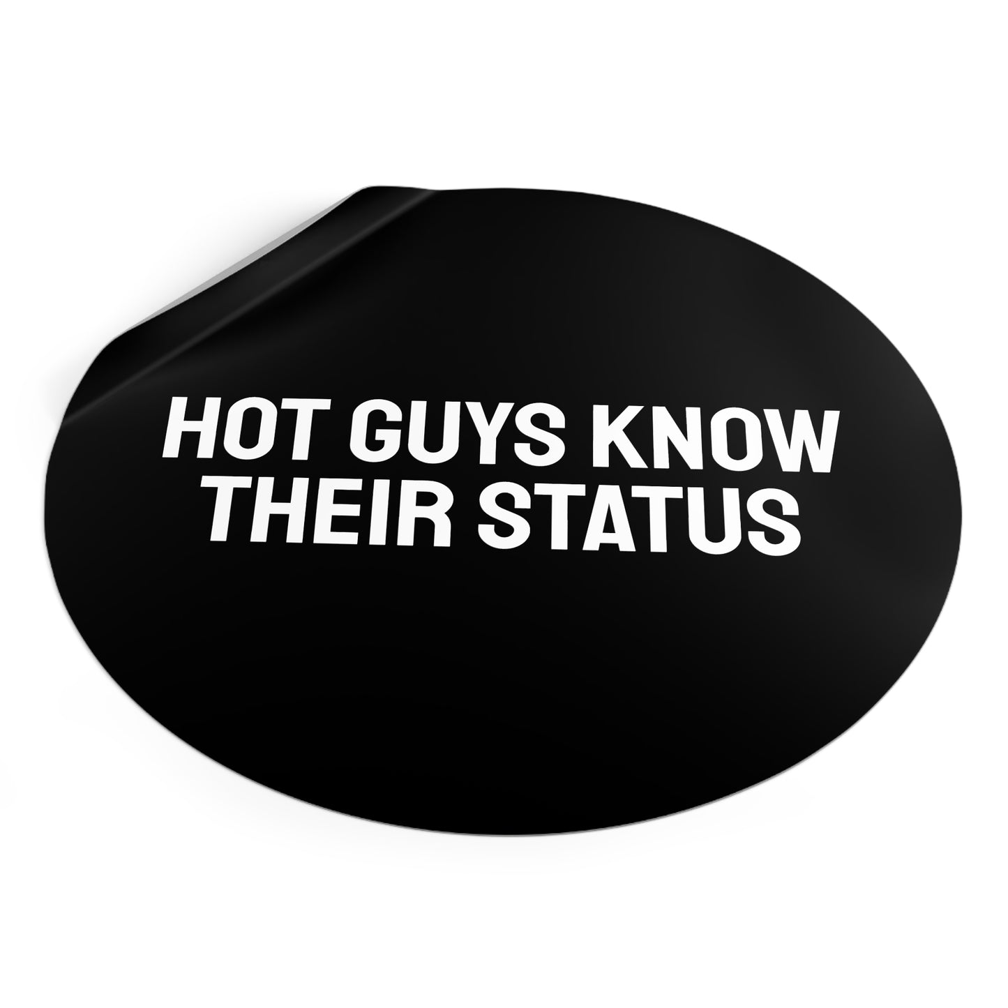 Hot Guys Know Their Status - Round Vinyl Stickers