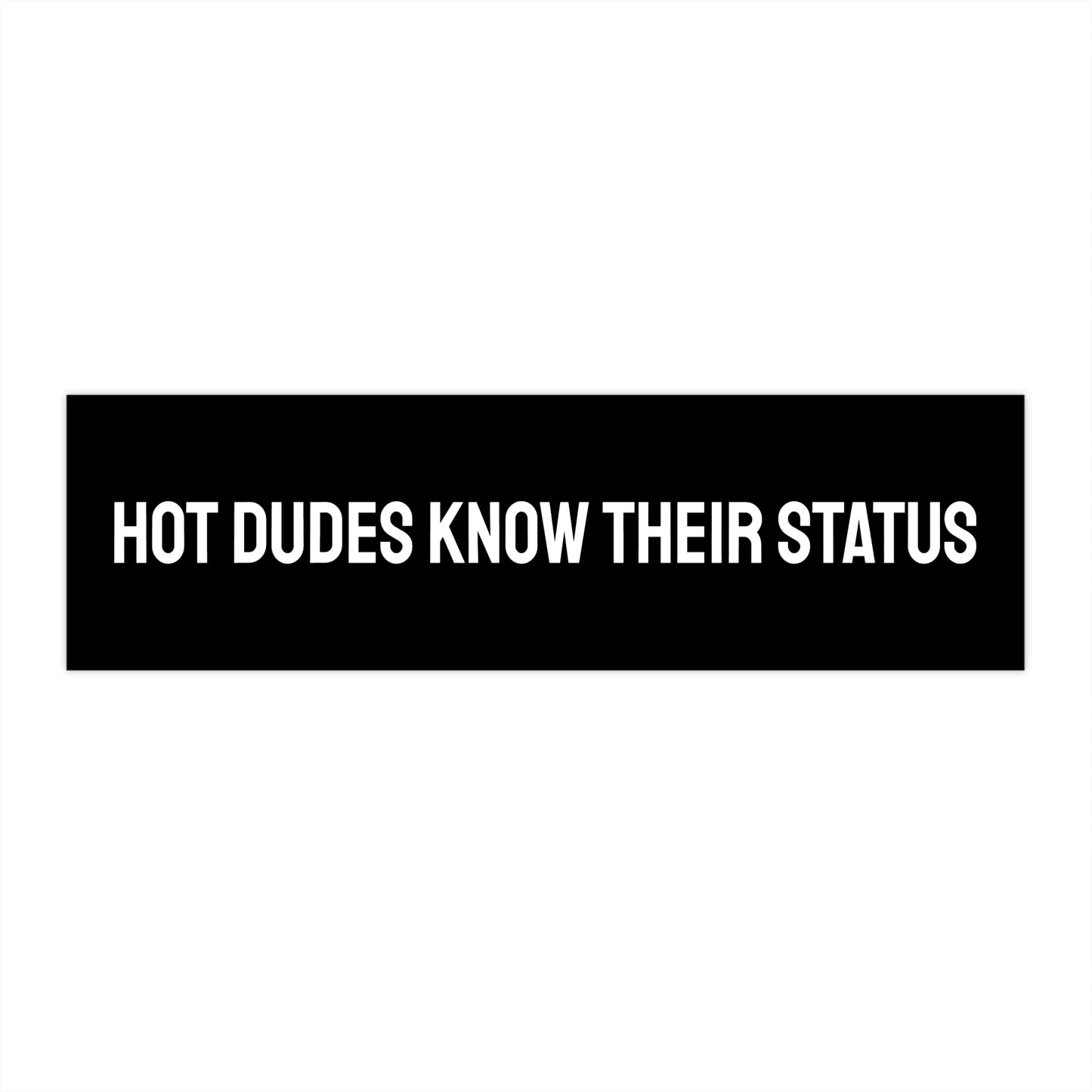 Hot Dudes Know Their Status - Bumper Sticker