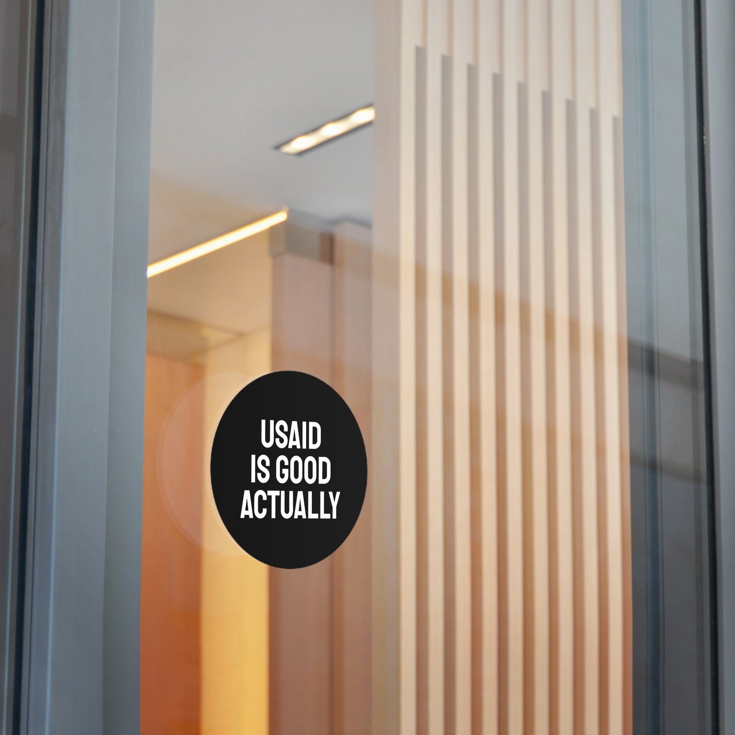 USAID Is Good Actually - Round Vinyl Stickers