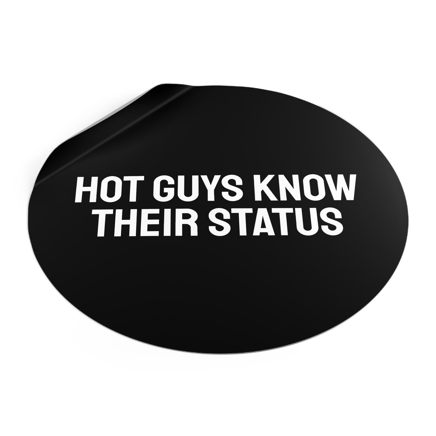 Hot Guys Know Their Status - Round Vinyl Stickers