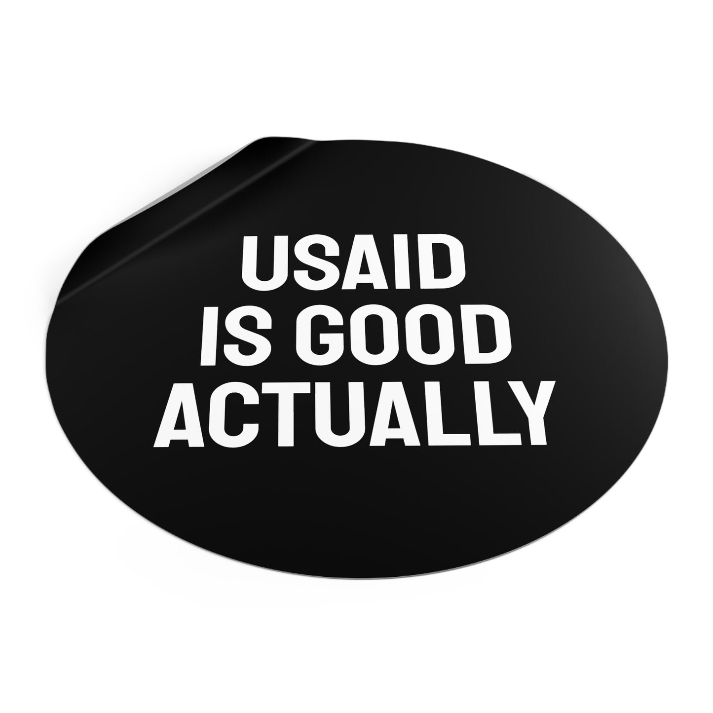 USAID Is Good Actually - Round Vinyl Stickers