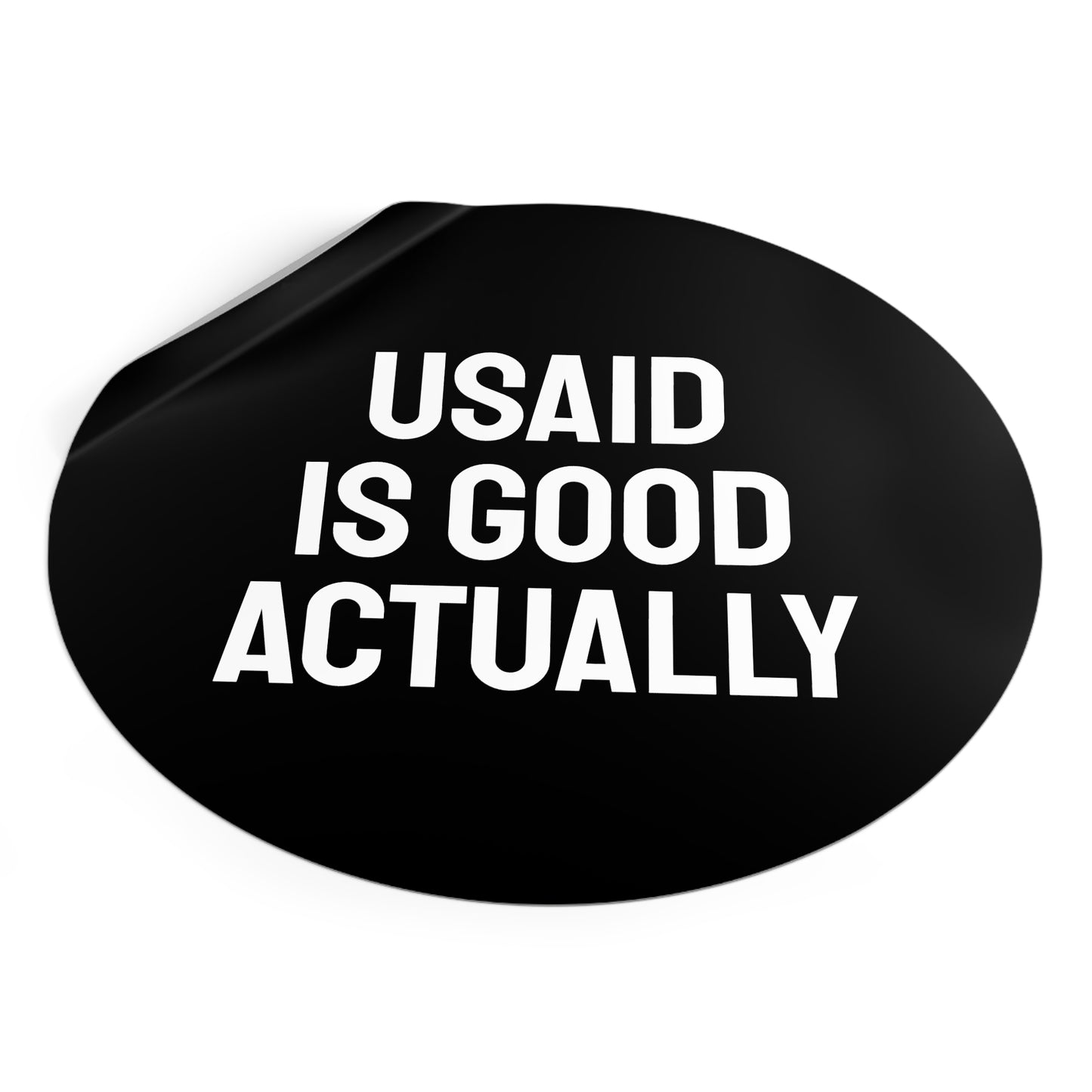 USAID Is Good Actually - Round Vinyl Stickers