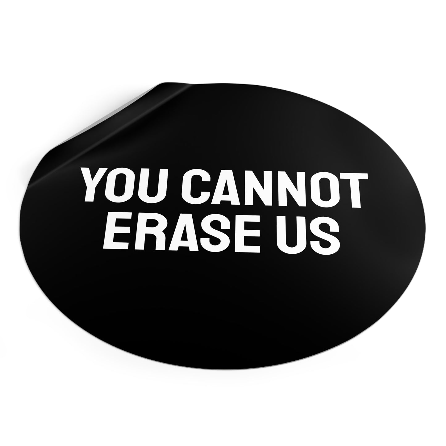 You Cannot Erase Us - Round Vinyl Stickers