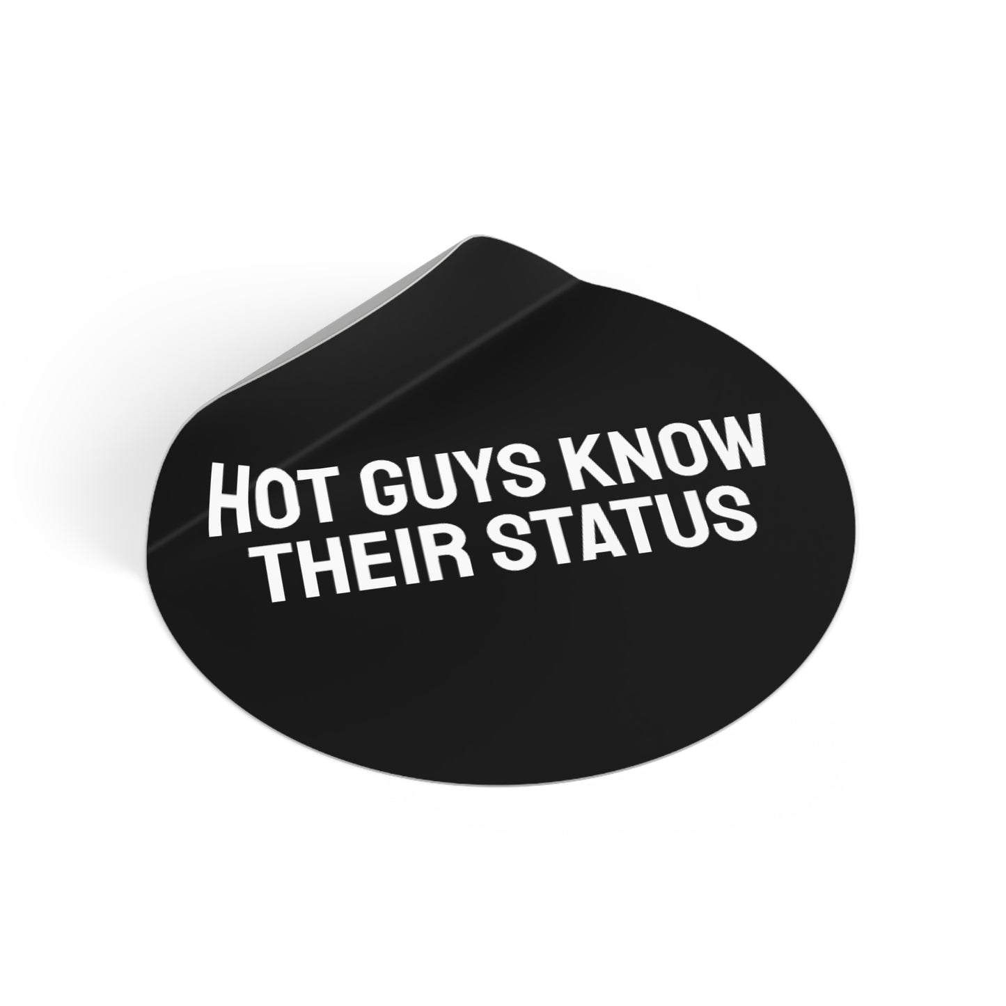 Hot Guys Know Their Status - Round Vinyl Stickers