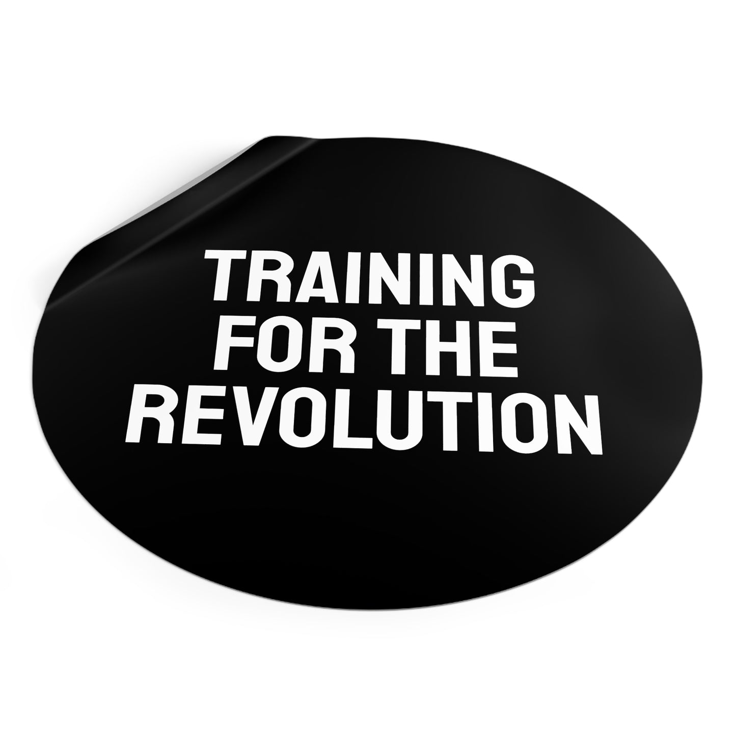 Training For The Revolution - Round Vinyl Stickers