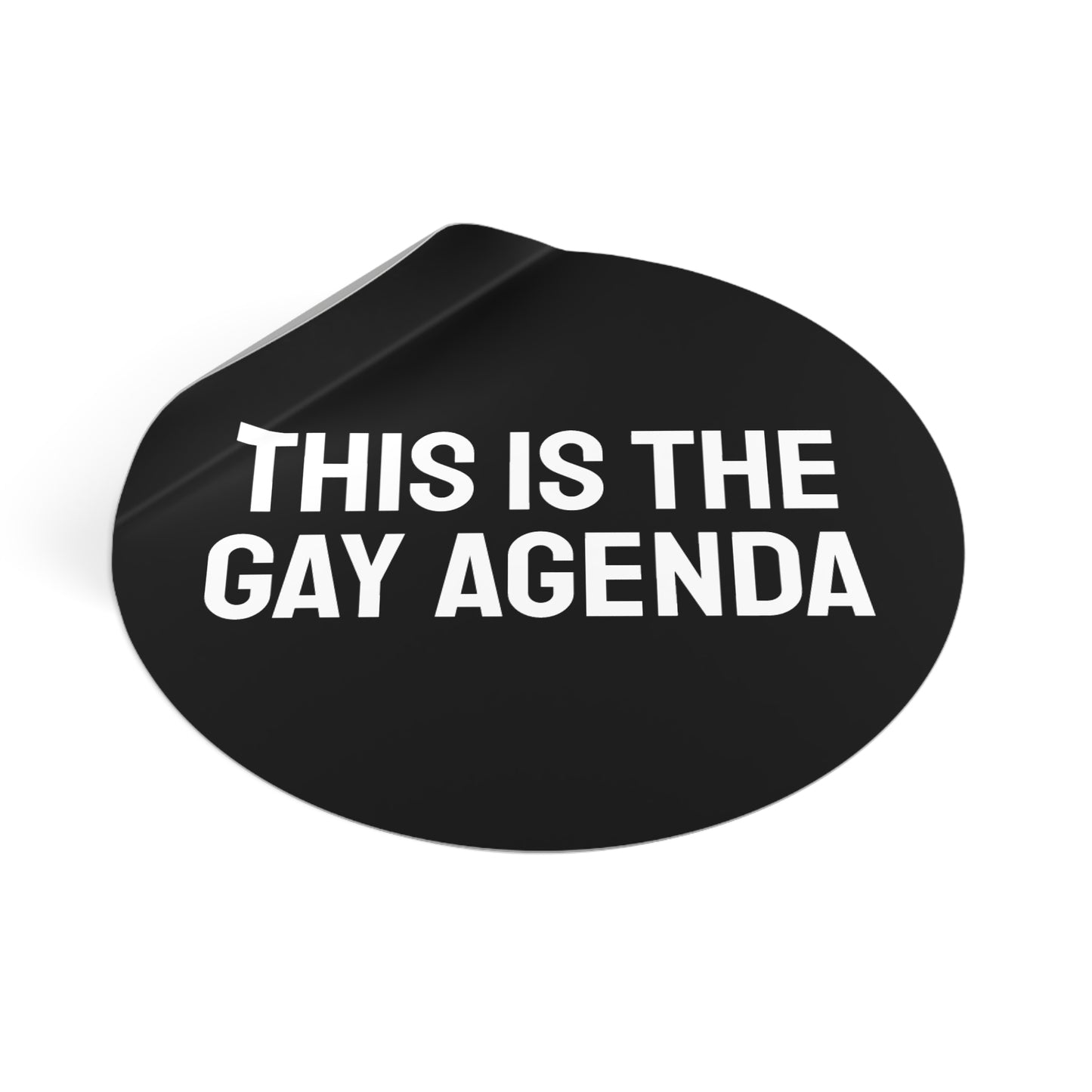 This Is The Gay Agenda - Round Vinyl Stickers