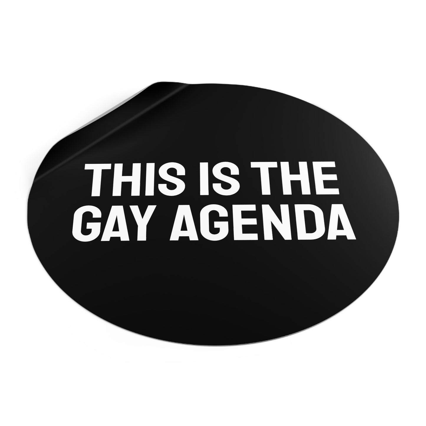 This Is The Gay Agenda - Round Vinyl Stickers
