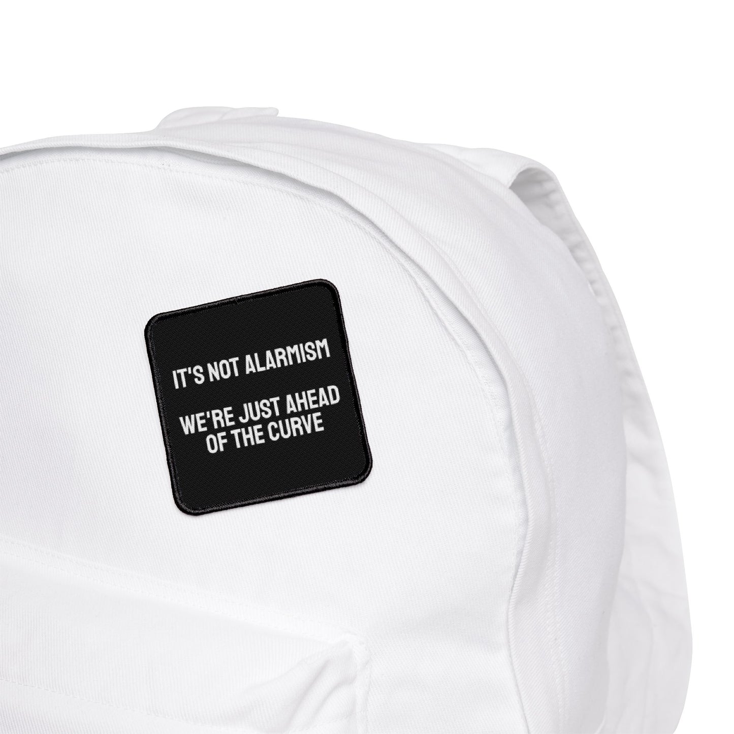 It's Not Alarmism We're Just Ahead Of The Curve - Iron-On Patch