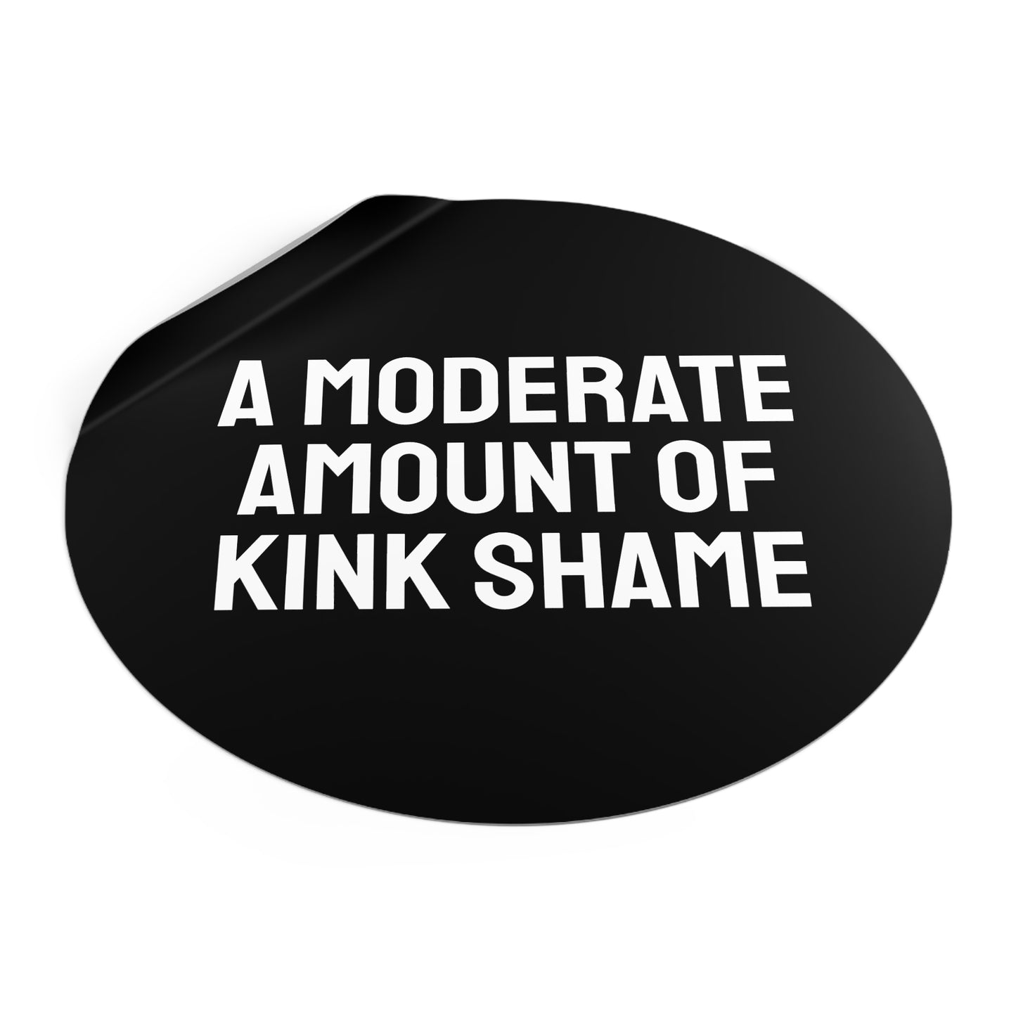 A Moderate Amount Of Kink Shame - Round Vinyl Stickers