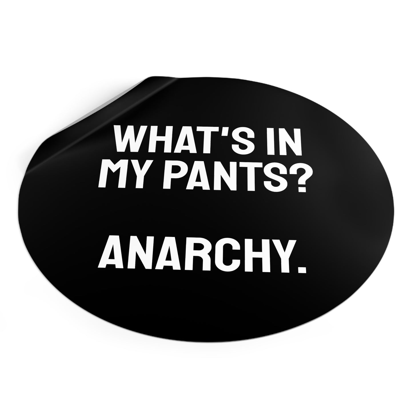 What's In My Pants? Anarchy. - Round Vinyl Stickers