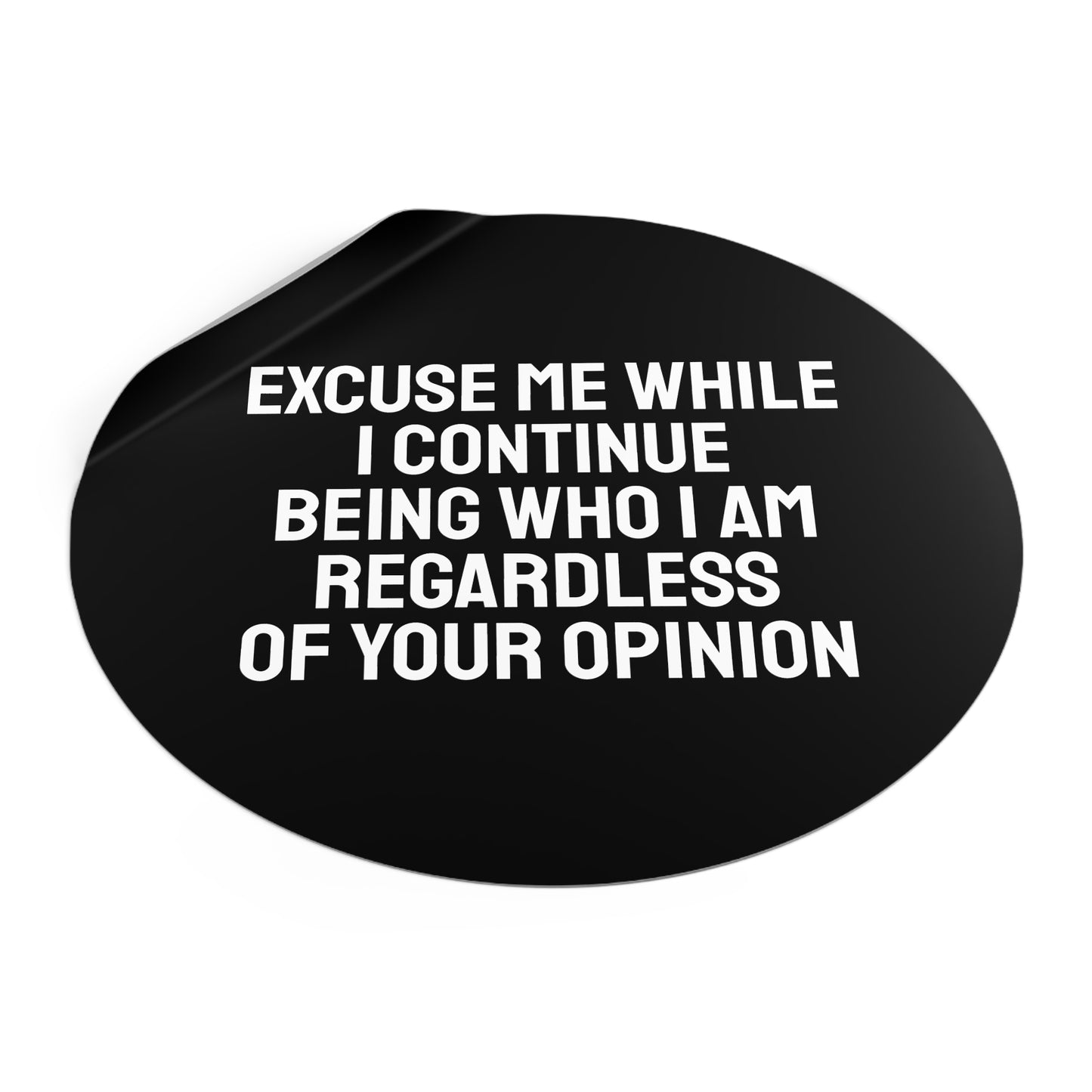Excuse Me While I Continue Being Who I Am Regardless Of Your Opinion - Round Vinyl Stickers