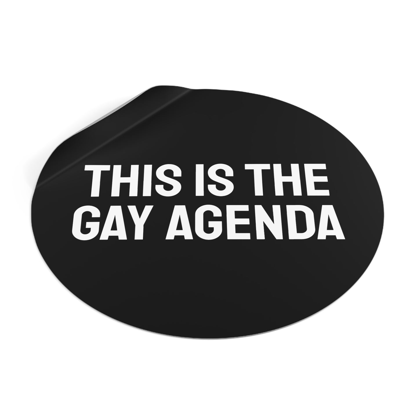 This Is The Gay Agenda - Round Vinyl Stickers