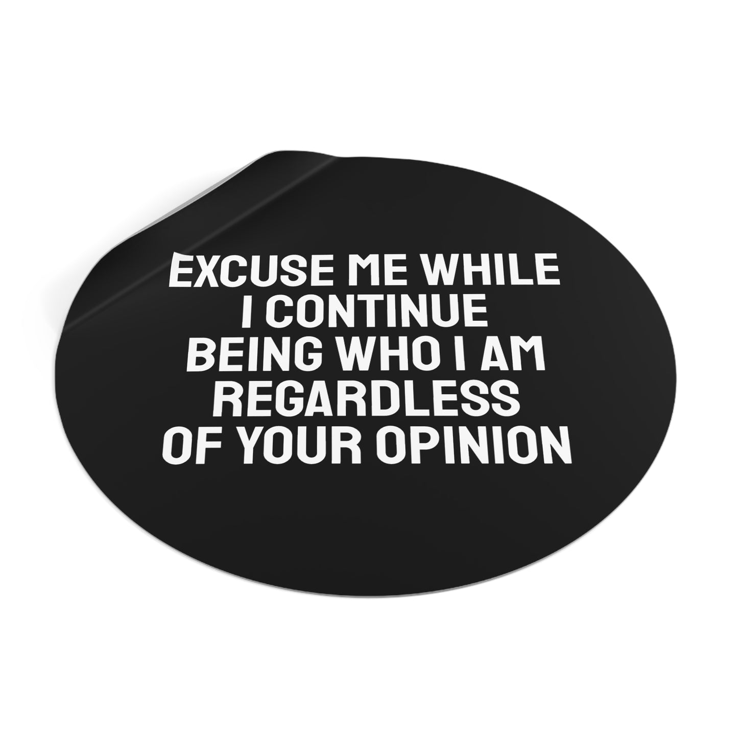 Excuse Me While I Continue Being Who I Am Regardless Of Your Opinion - Round Vinyl Stickers