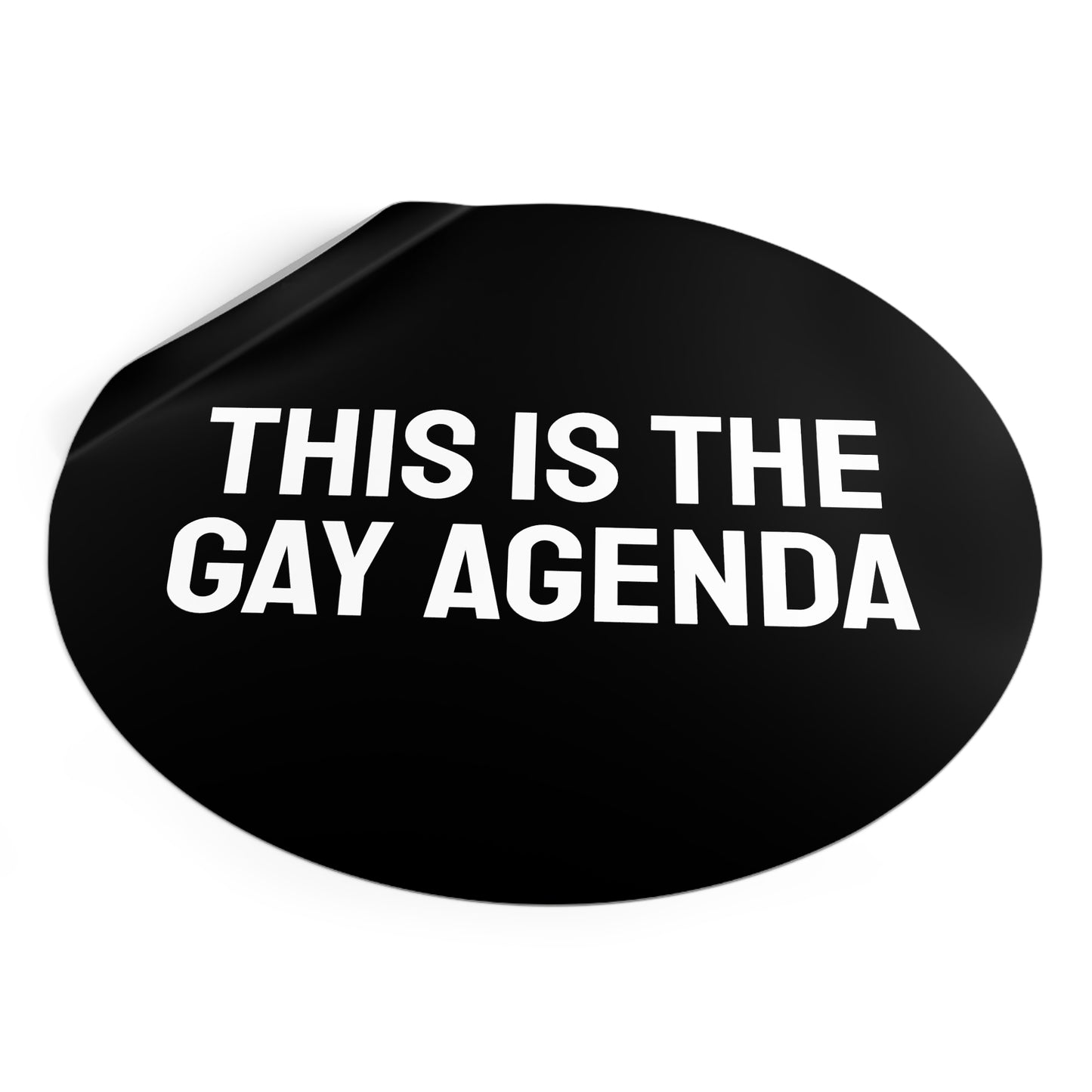 This Is The Gay Agenda - Round Vinyl Stickers