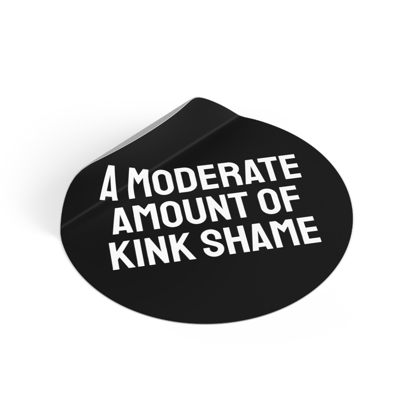 A Moderate Amount Of Kink Shame - Round Vinyl Stickers