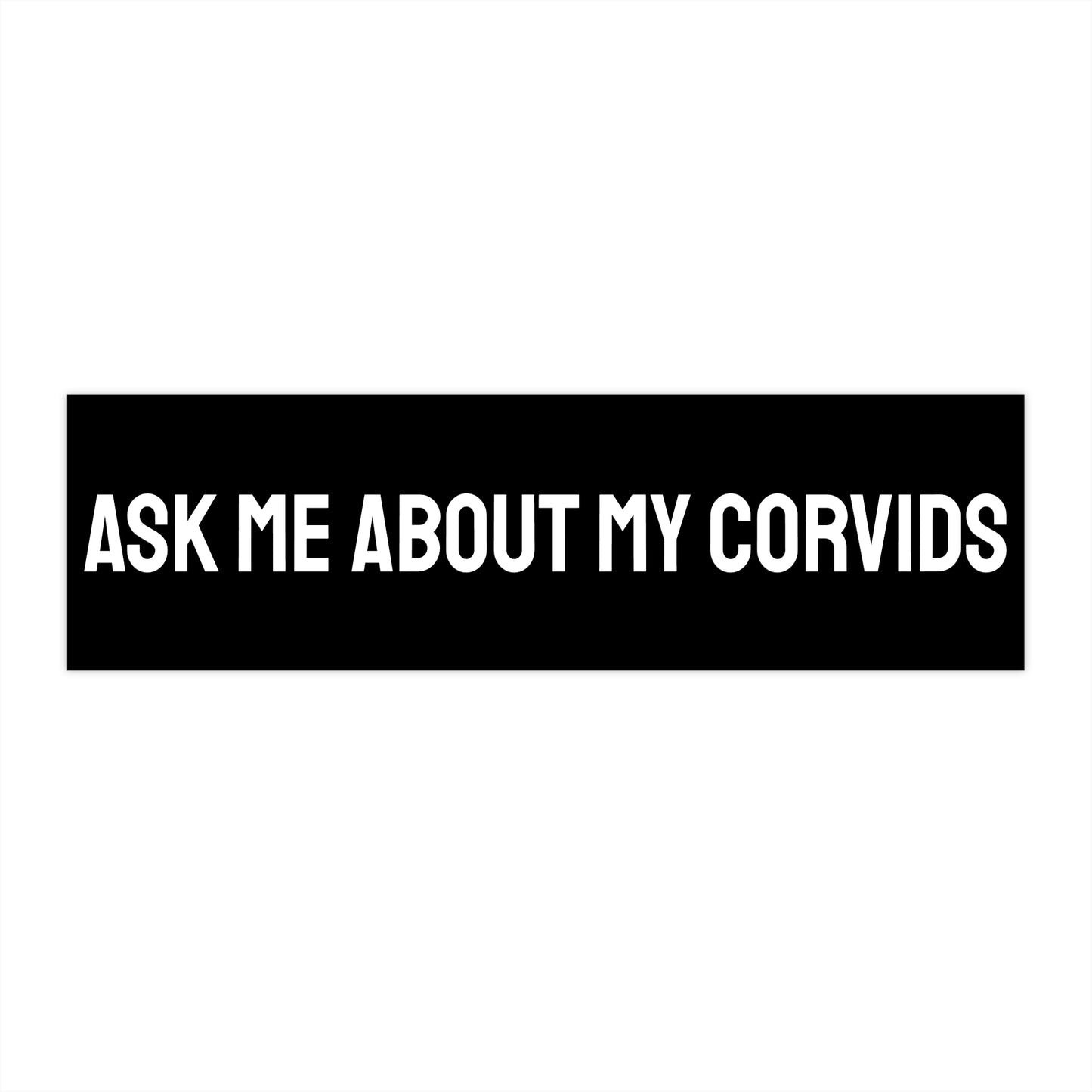 Ask Me About My Corvids - Bumper Sticker