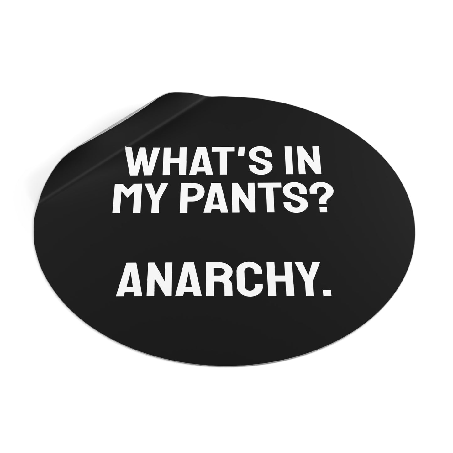 What's In My Pants? Anarchy. - Round Vinyl Stickers
