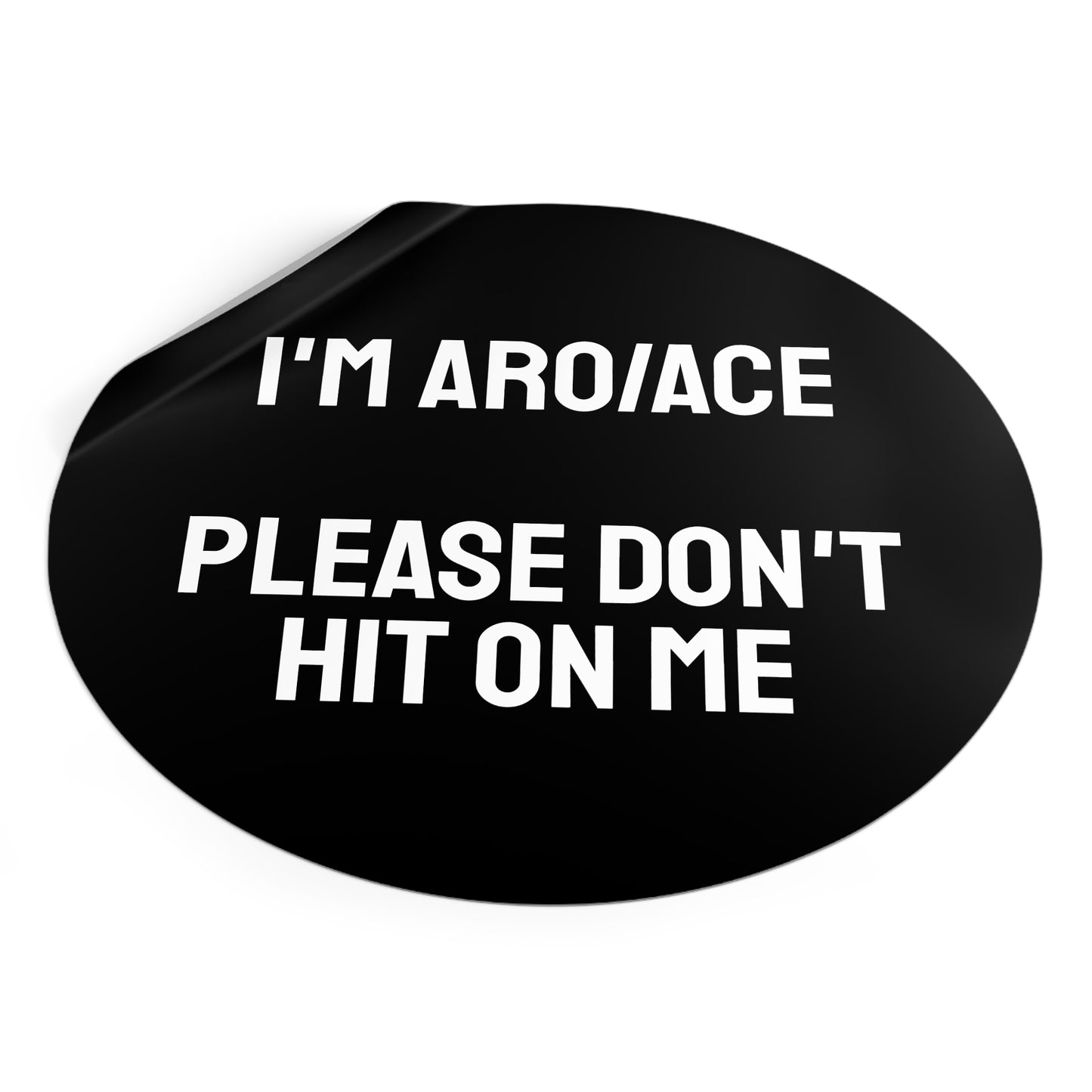I'm Aro/Ace Please Don't Hit On Me - Round Vinyl Stickers