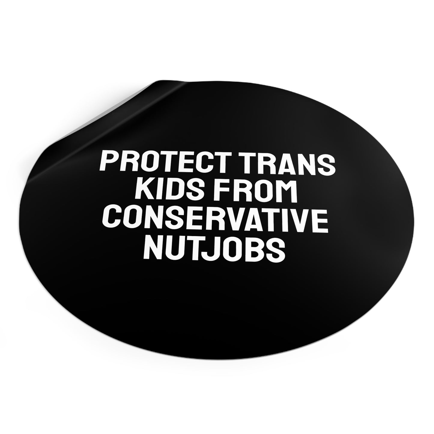 Protect Trans Kids From Conservative Nutjobs - Round Vinyl Stickers