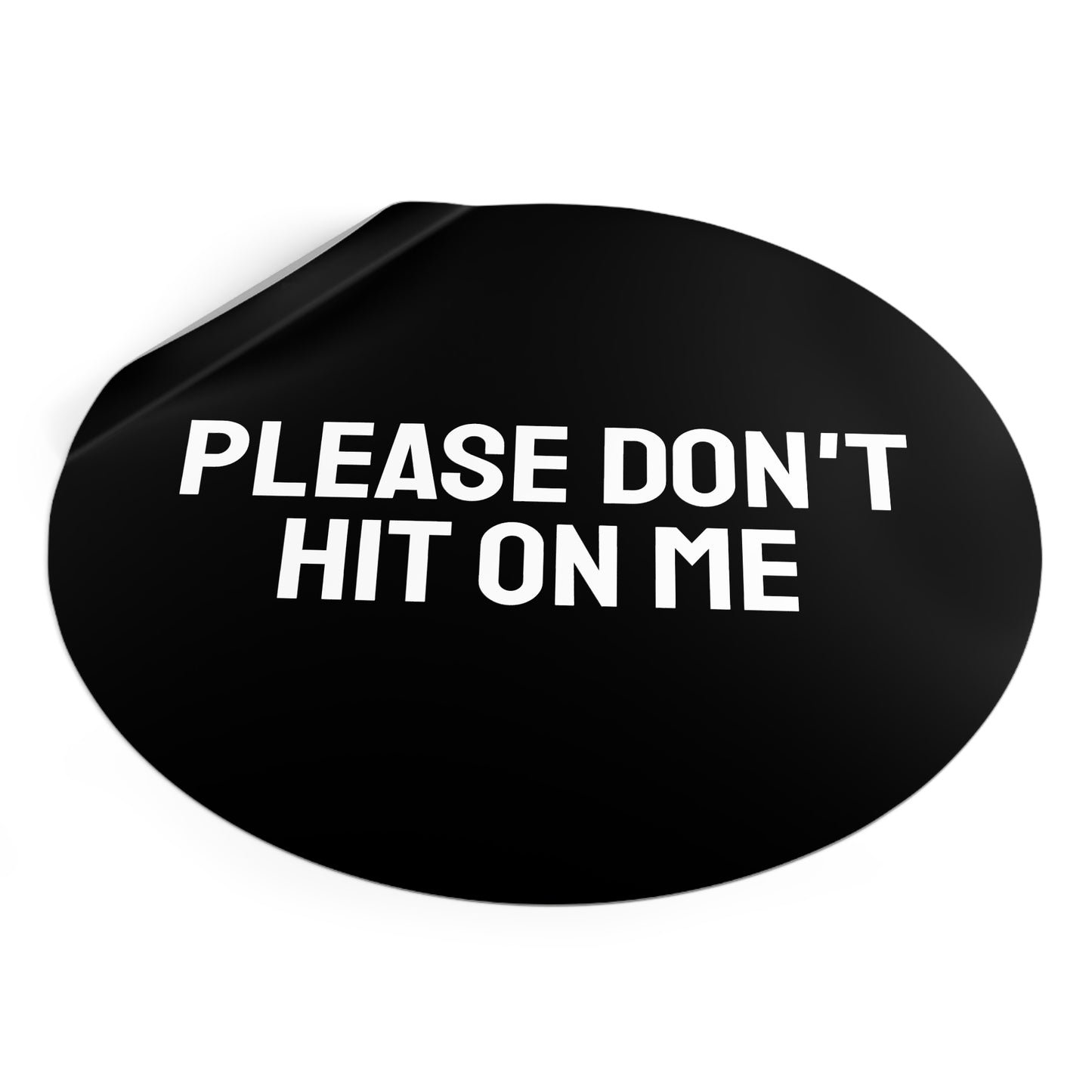 Please Don't Hit On Me - Round Vinyl Stickers