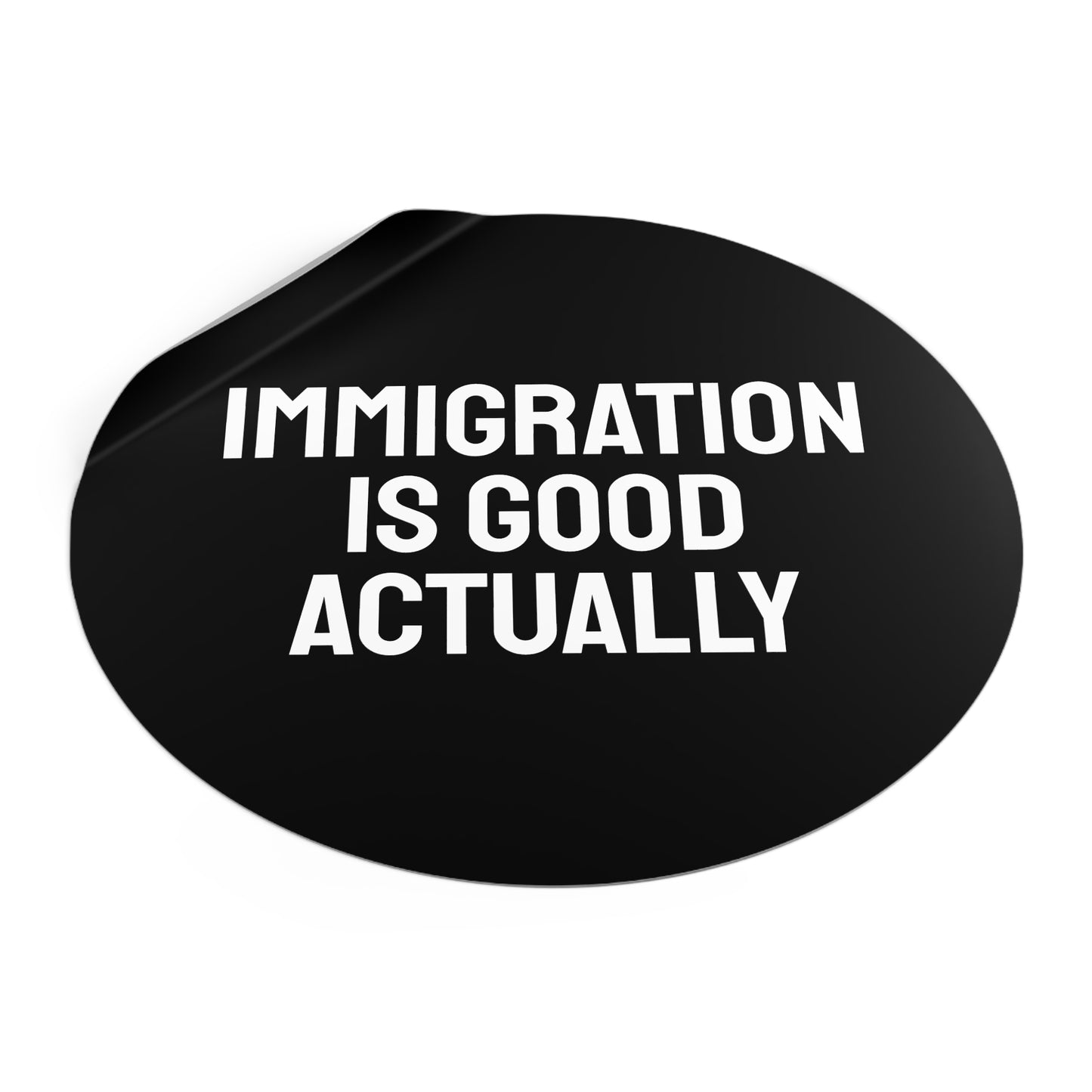Immigration Is Good Actually - Round Vinyl Stickers