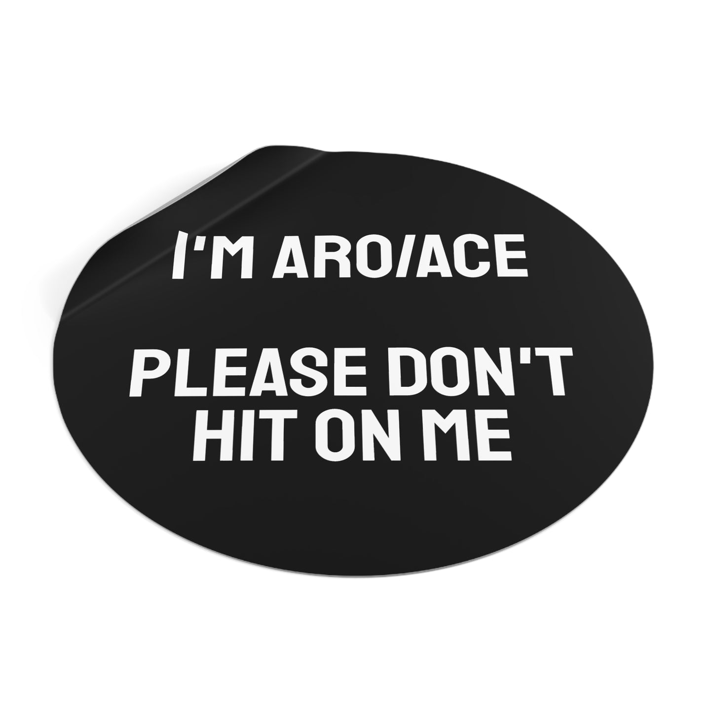 I'm Aro/Ace Please Don't Hit On Me - Round Vinyl Stickers