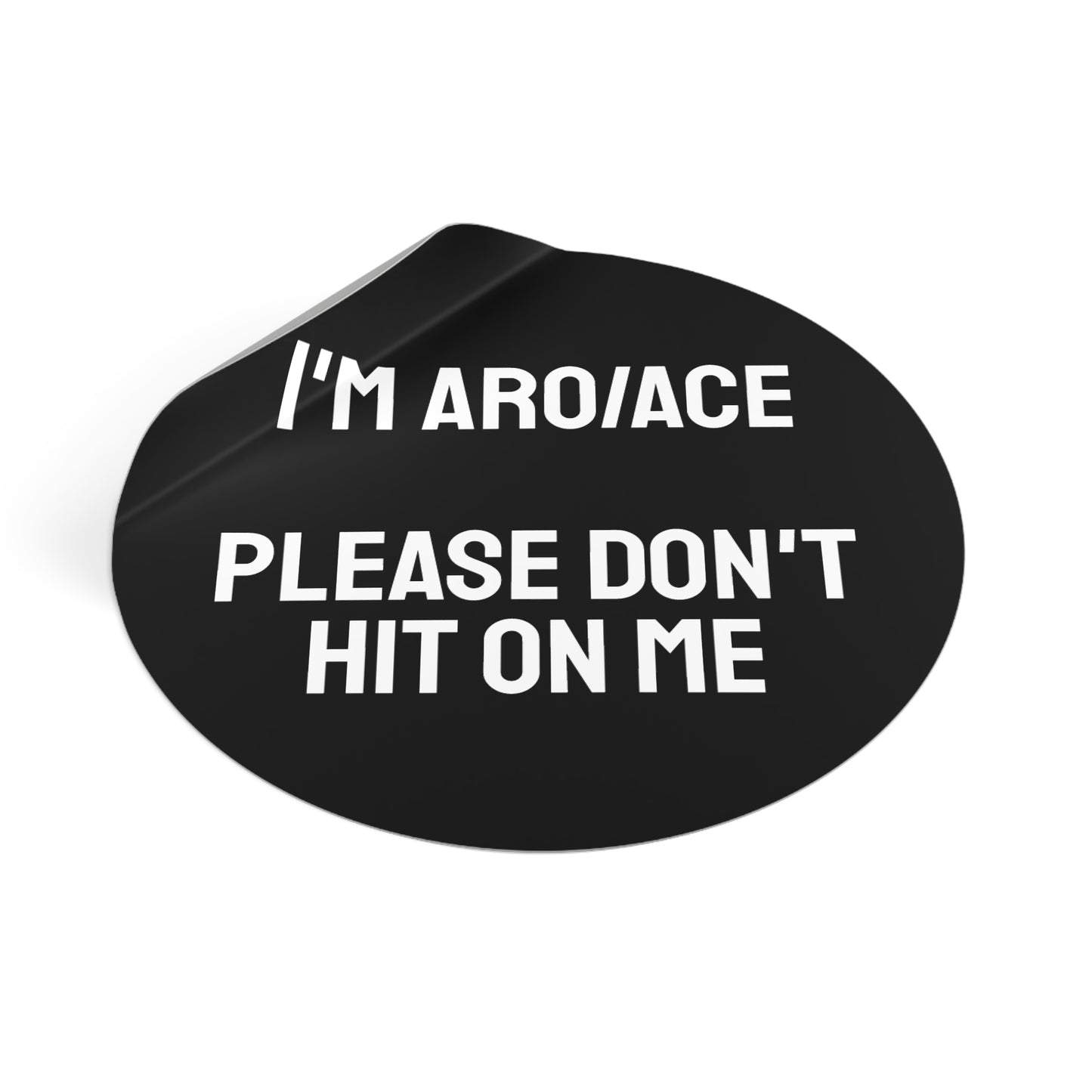 I'm Aro/Ace Please Don't Hit On Me - Round Vinyl Stickers