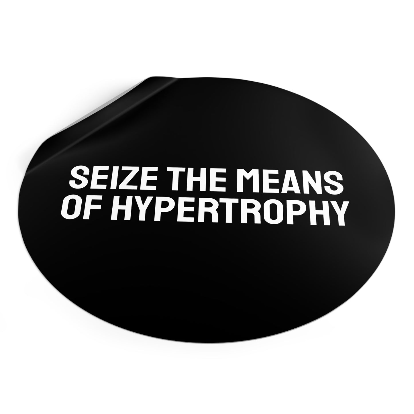 Seize The Means Of Hypertrophy - Round Vinyl Stickers