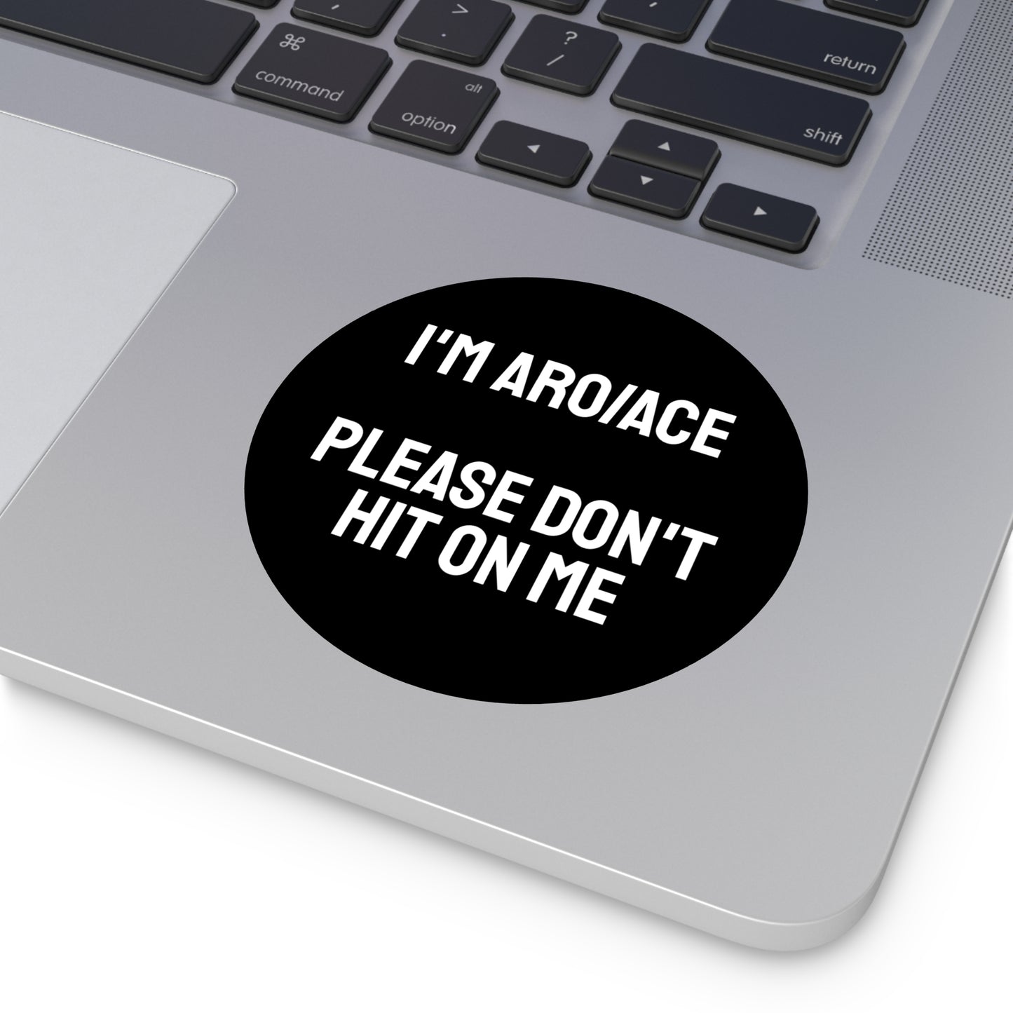 I'm Aro/Ace Please Don't Hit On Me - Round Vinyl Stickers