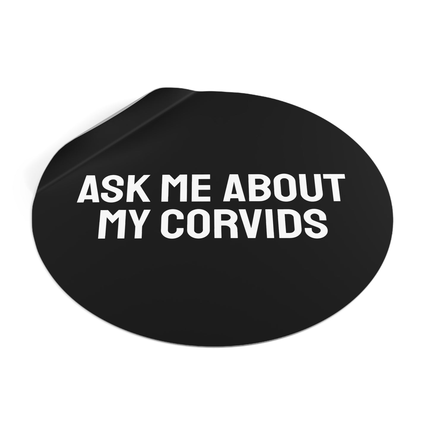 Ask Me About My Corvids - Round Vinyl Stickers