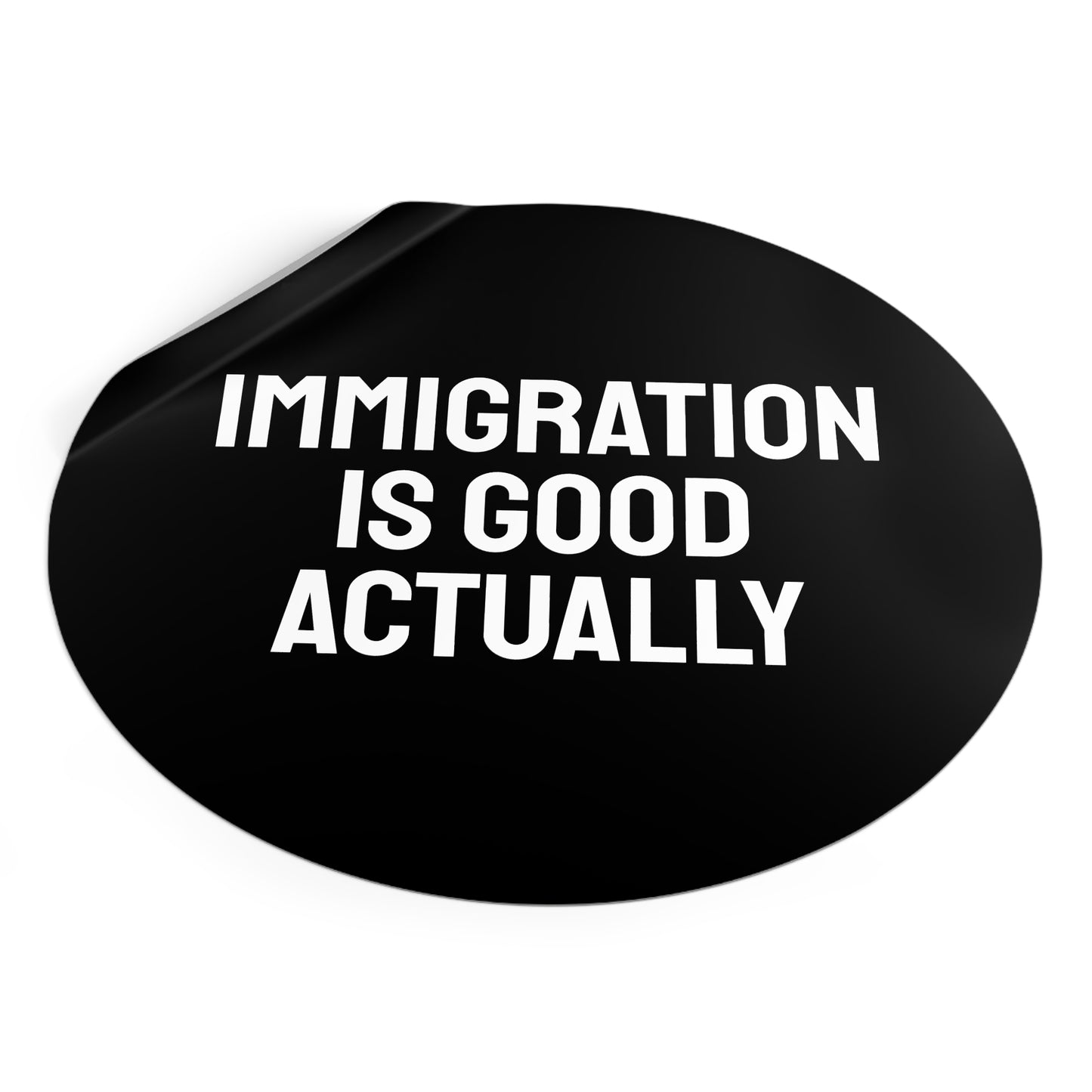 Immigration Is Good Actually - Round Vinyl Stickers