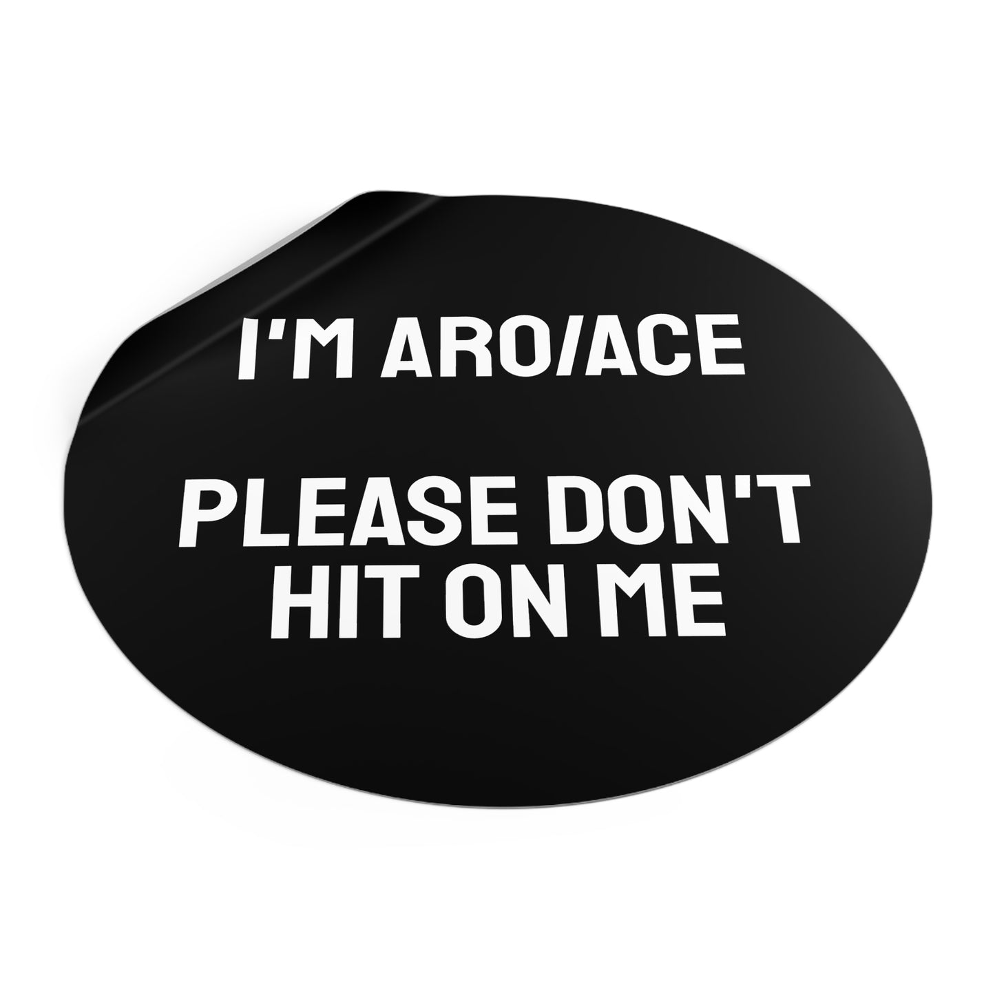 I'm Aro/Ace Please Don't Hit On Me - Round Vinyl Stickers