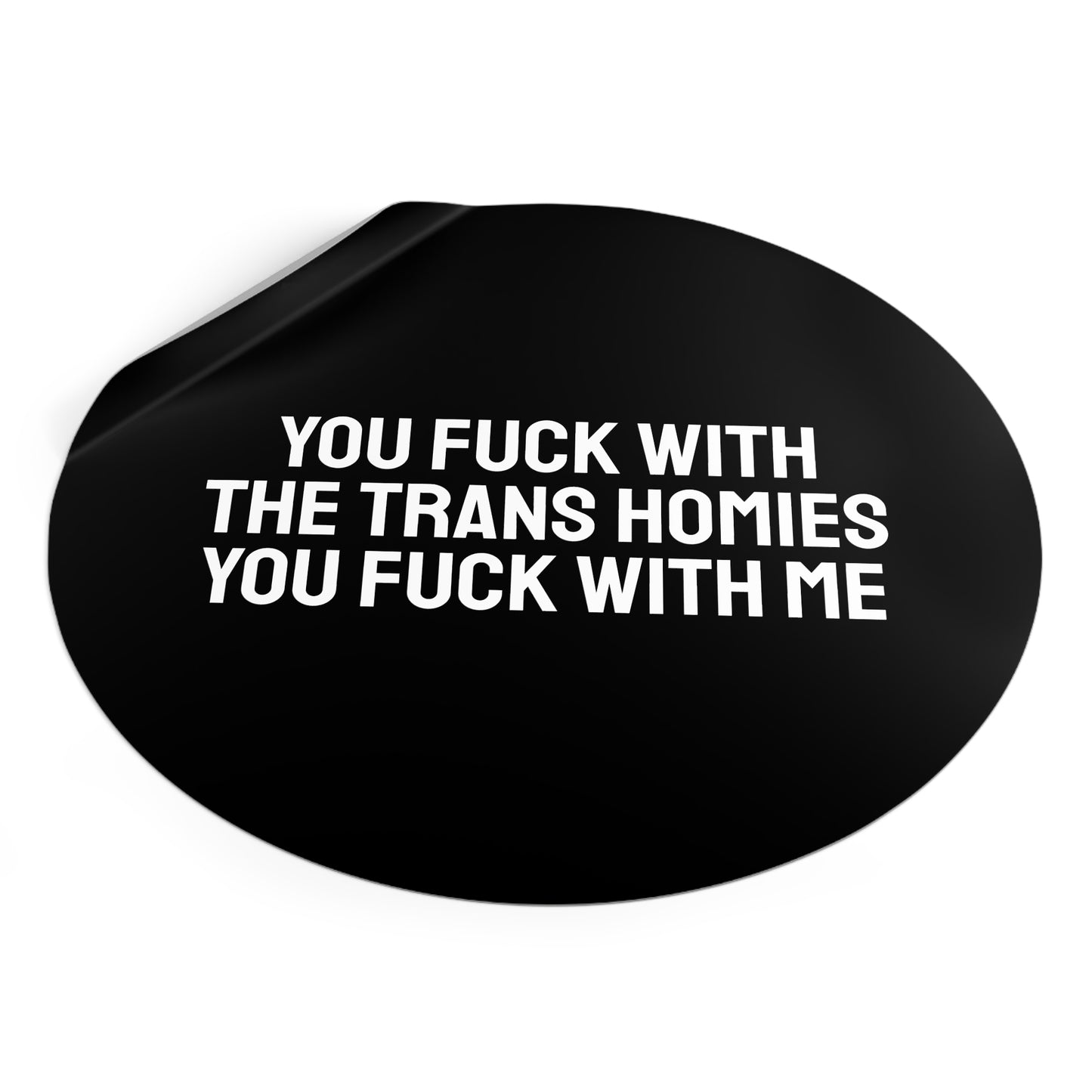 You Fuck With The Trans Homies You Fuck With Me - Round Vinyl Stickers