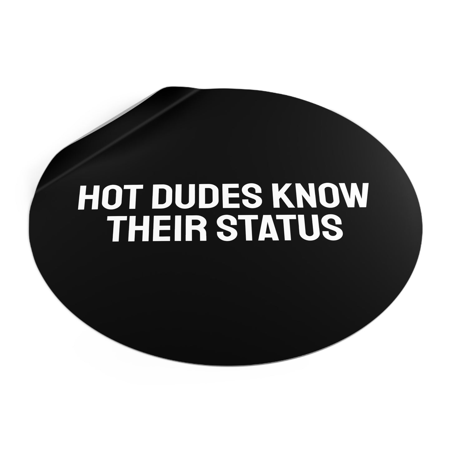 Hot Dudes Know Their Status - Round Vinyl Stickers